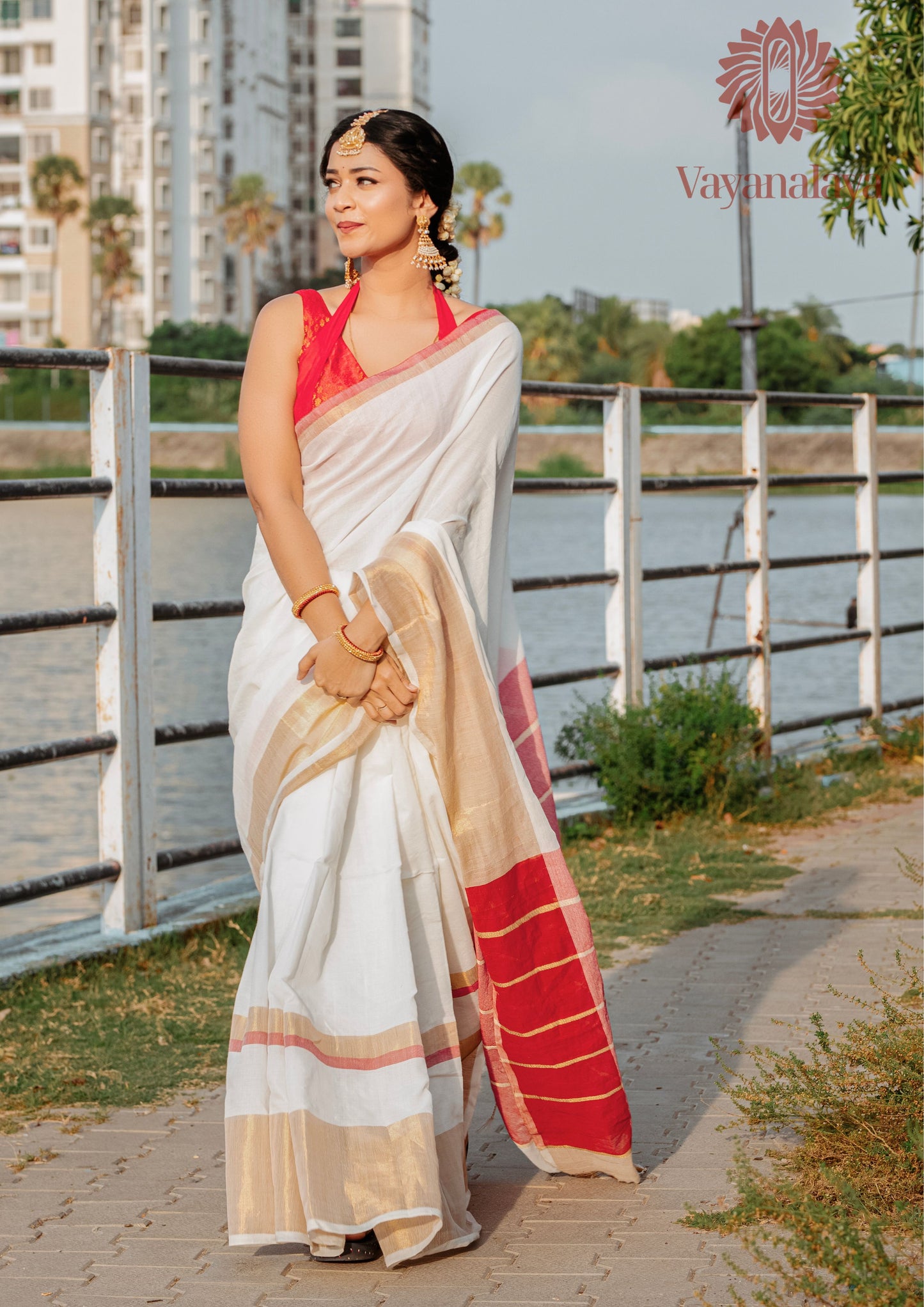 Gold and red zari border saree